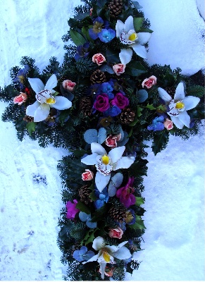 Snow Orchids. L C 6